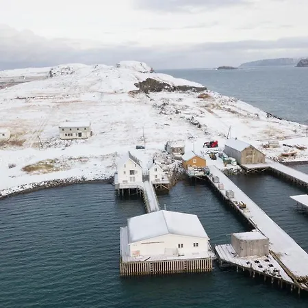 Arctic